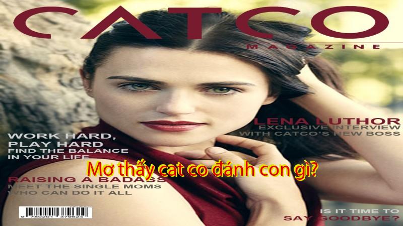 Mơ thấy cat co đánh con gì?
