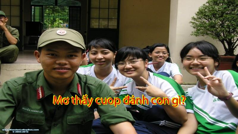 Mơ thấy cuop đánh con gì?