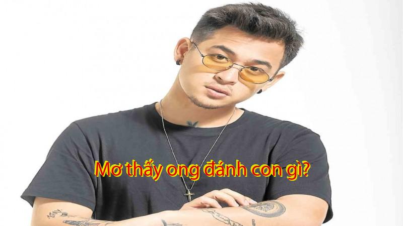 Mơ thấy ong đánh con gì?