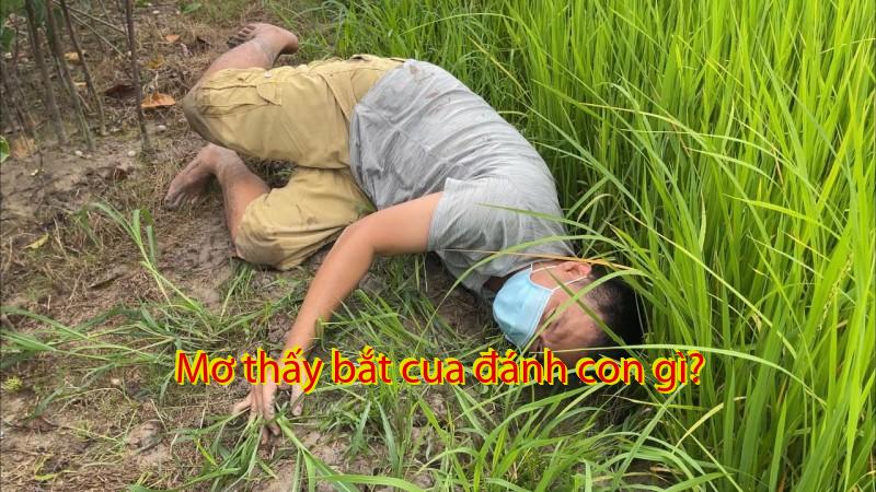 Mơ thấy bắt cua đánh con gì?