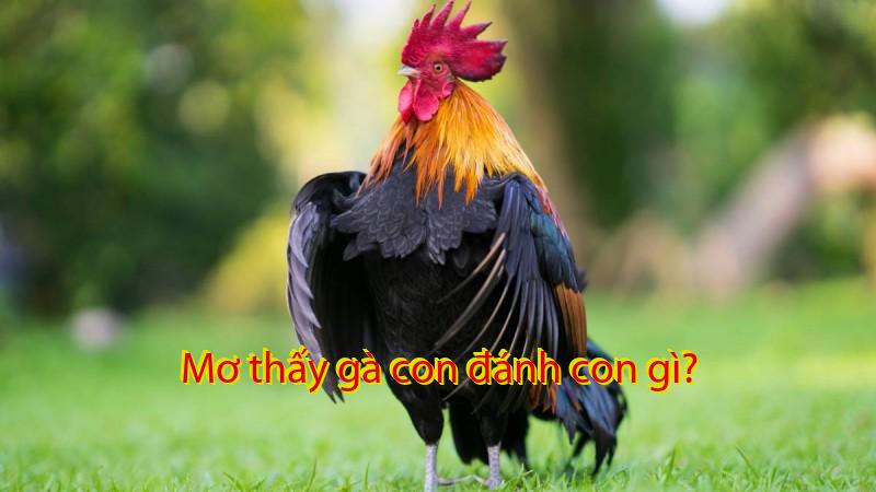 Mơ thấy gà con đánh con gì?