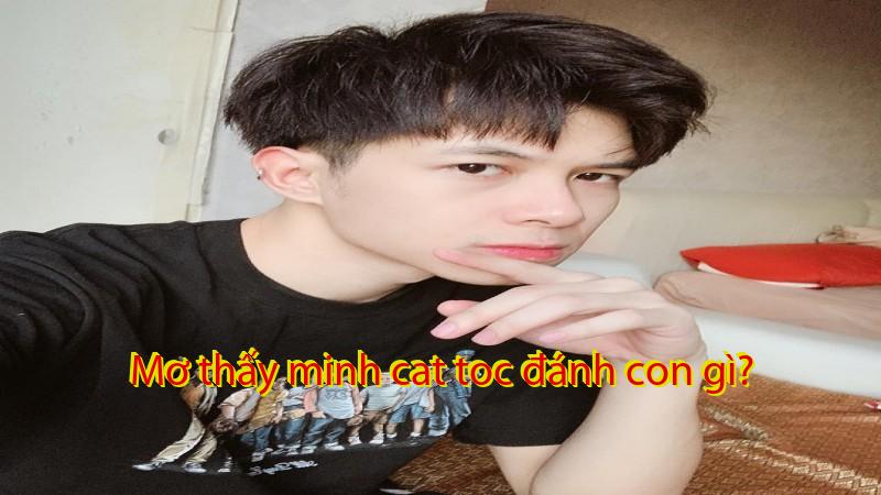 Mơ thấy minh cat toc đánh con gì?