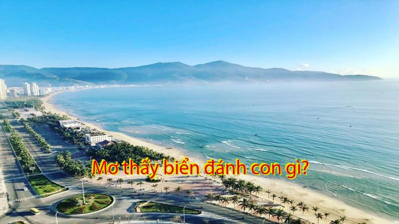 Mơ thấy biển đánh con gì?