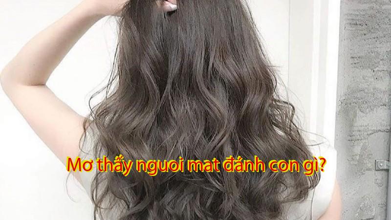 Mơ thấy nguoi mat đánh con gì?