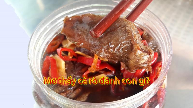 Mơ thấy cá rô đánh con gì?