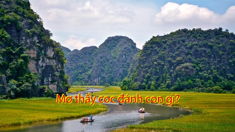 Mơ thấy coc đánh con gì?