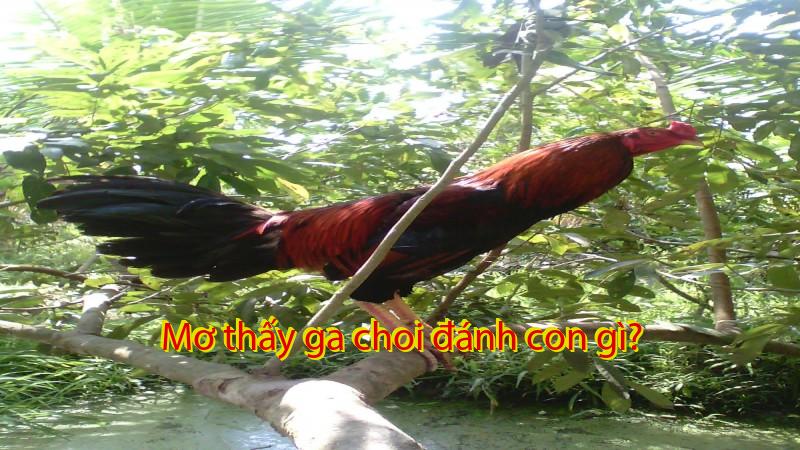 Mơ thấy ga choi đánh con gì?