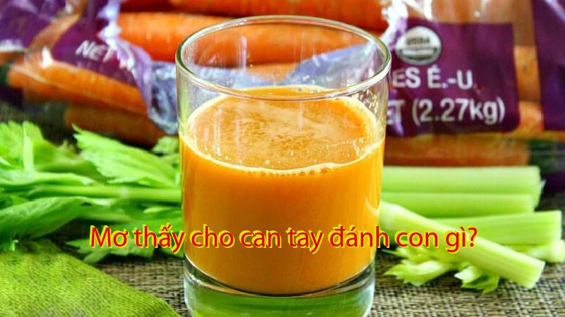 Mơ thấy cho can tay đánh con gì?