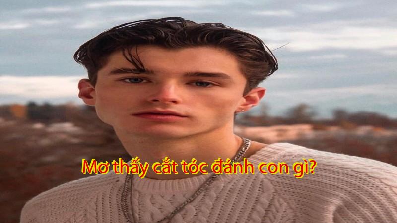 Mơ thấy cắt tóc đánh con gì?