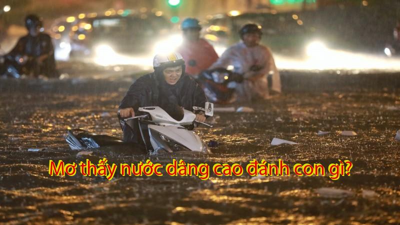 Mơ thấy nước dâng cao đánh con gì?