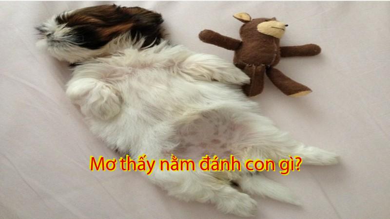 Giải mã giấc mơ nằm - Những ý nghĩa đằng sau cảm giác thấy mình 'nằm' trong giấc mơ