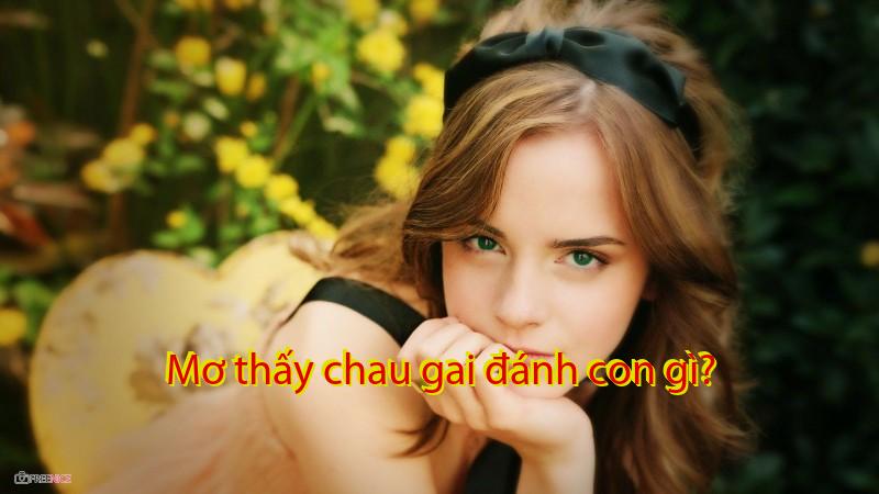 Mơ thấy chau gai đánh con gì?