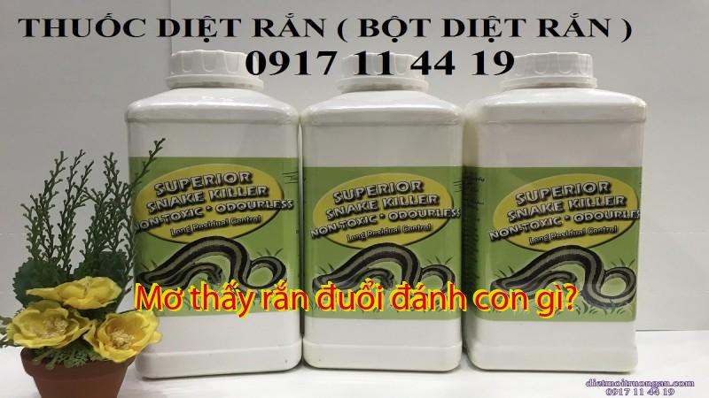 Mơ thấy rắn đuổi đánh con gì?