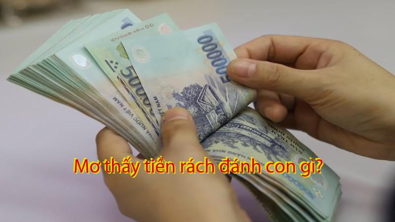 Mơ thấy tiền rách đánh con gì?