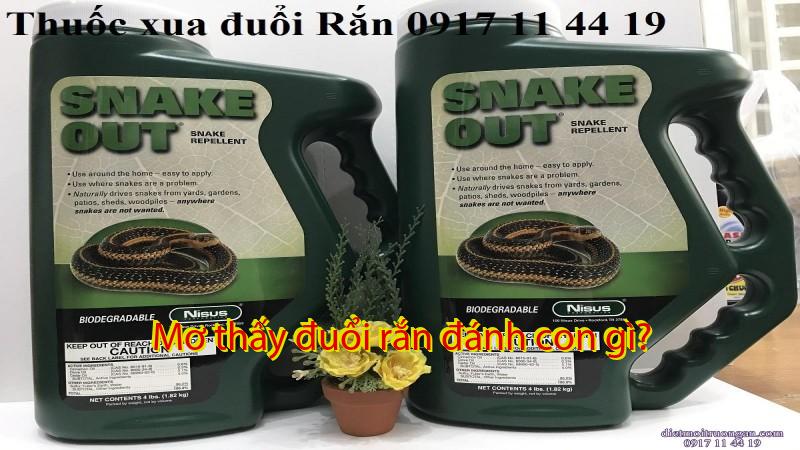 Mơ thấy đuổi rắn đánh con gì?