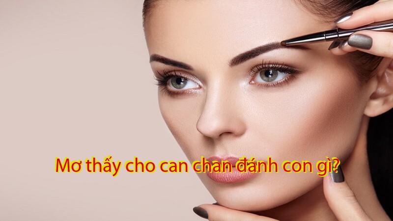Mơ thấy cho can chan đánh con gì?