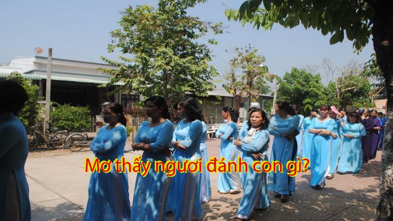 Mơ thấy ngươi đánh con gì?