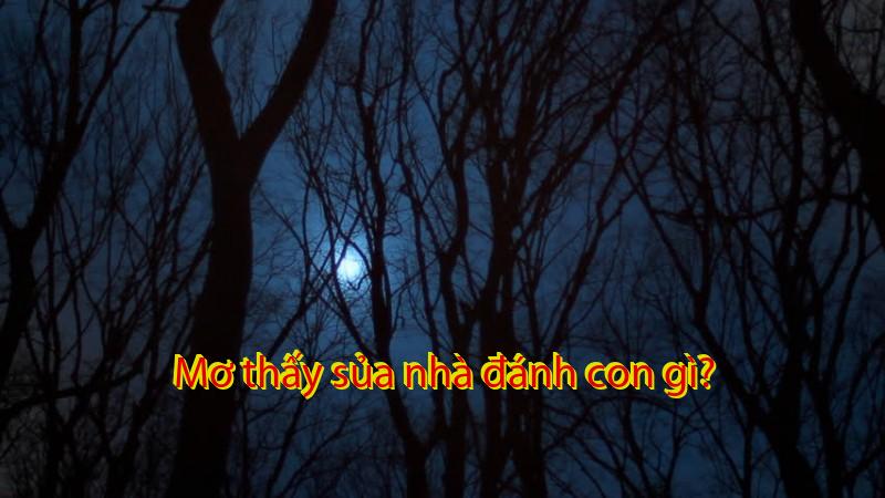 Mơ thấy sủa nhà đánh con gì?