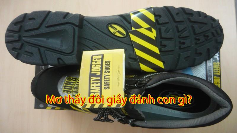 Mơ thấy đôi giầy đánh con gì?