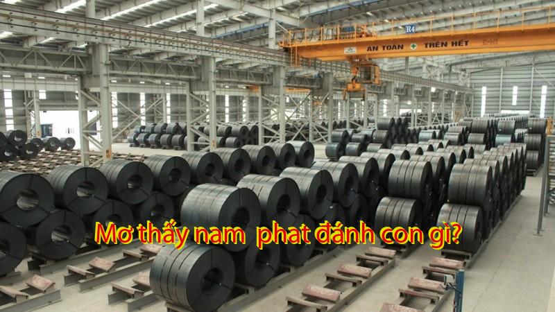 Mơ thấy nam  phat đánh con gì?