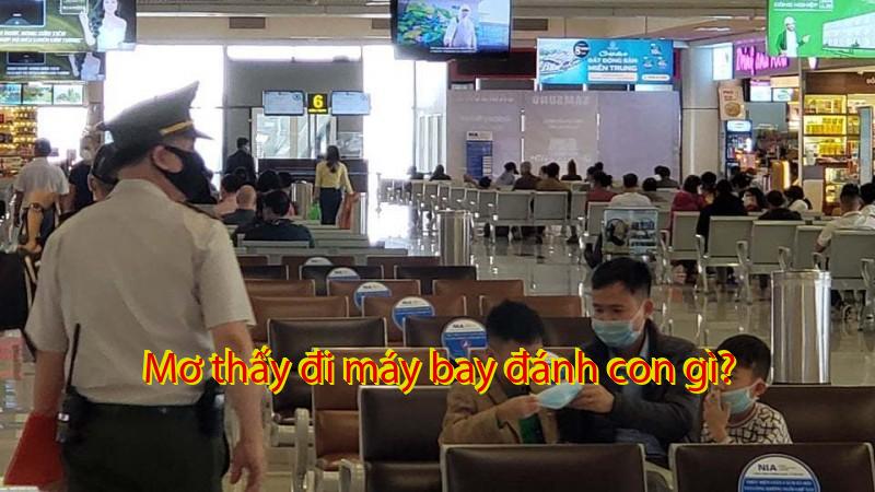 Mơ thấy đi máy bay đánh con gì?