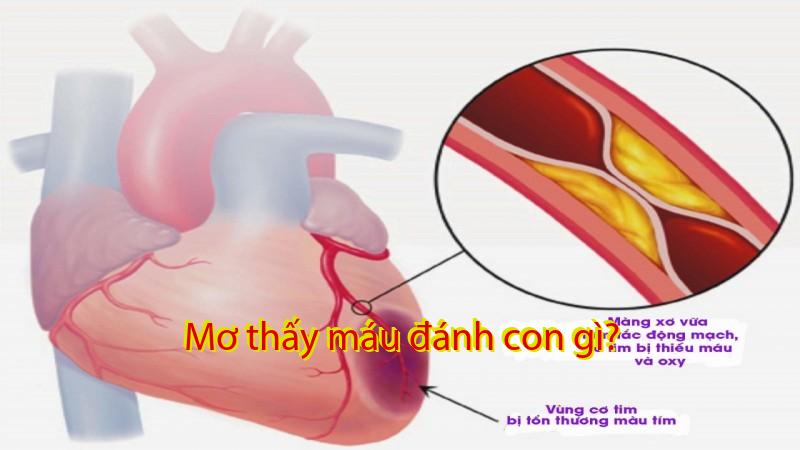 Mơ thấy máu đánh con gì?