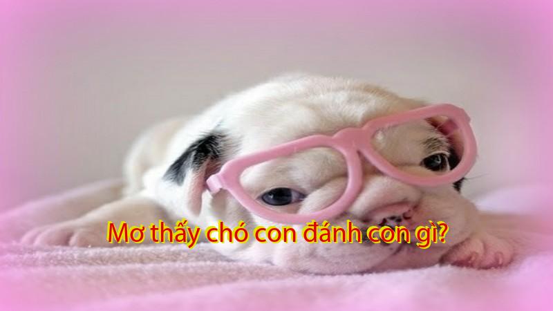 Mơ thấy chó con đánh con gì?