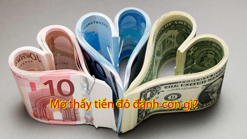 Mơ thấy tiền đô đánh con gì?