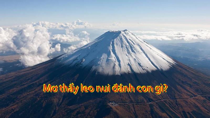 Mơ thấy leo nui đánh con gì?