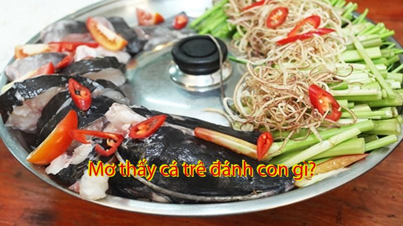 Mơ thấy cá trê đánh con gì?