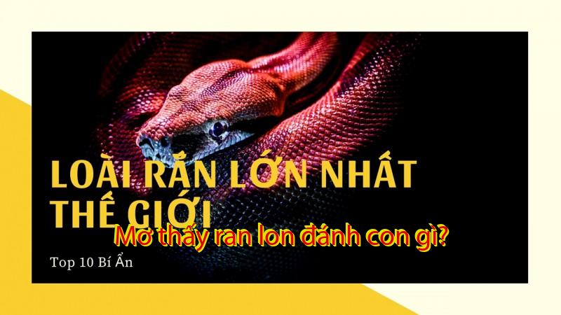 Mơ thấy ran lon đánh con gì?