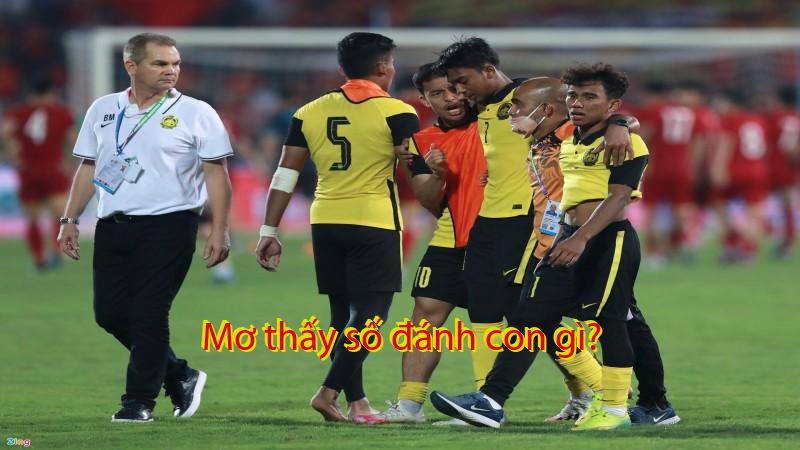 Mơ thấy số đánh con gì?