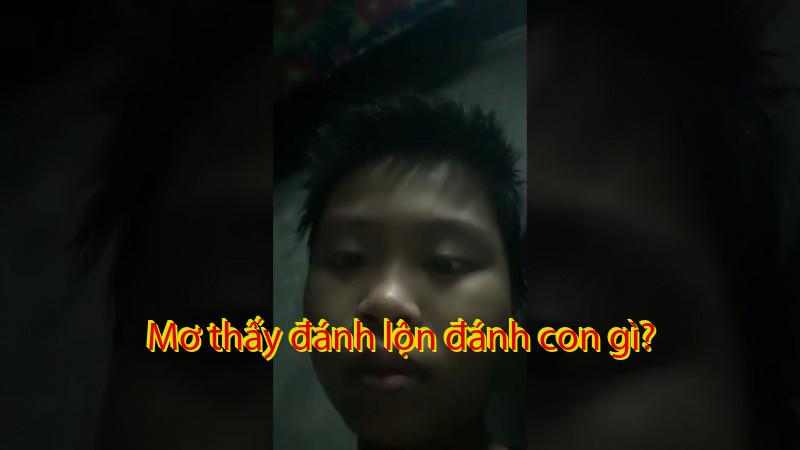 Mơ thấy cá vàng đánh con gì?