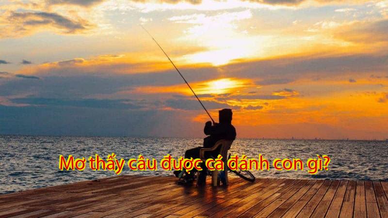 Mơ thấy câu được cá đánh con gì?