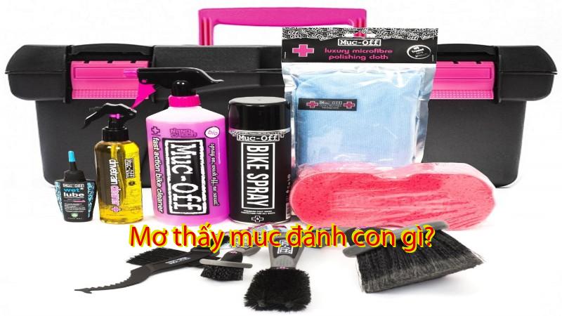 Mơ thấy muc đánh con gì?