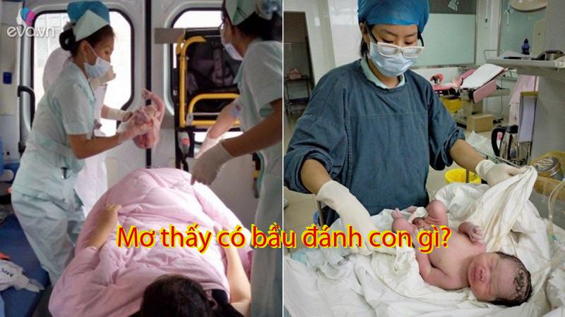Mơ thấy có bầu đánh con gì?