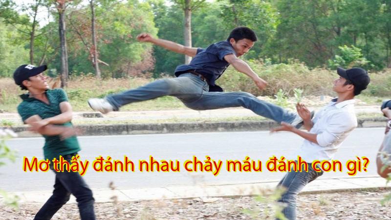 Mơ thấy đánh nhau chảy máu đánh con gì?