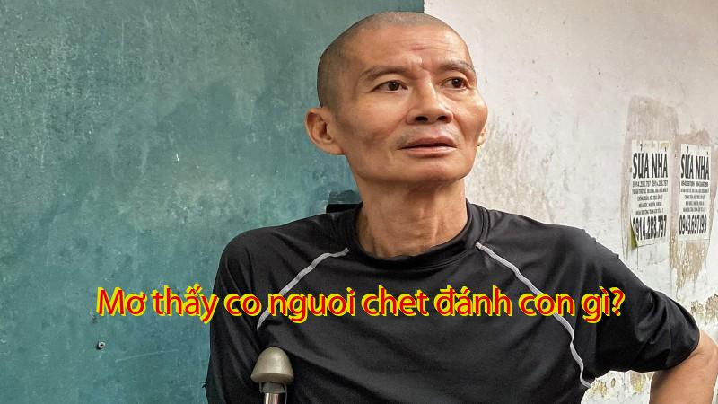 Mơ thấy co nguoi chet đánh con gì?