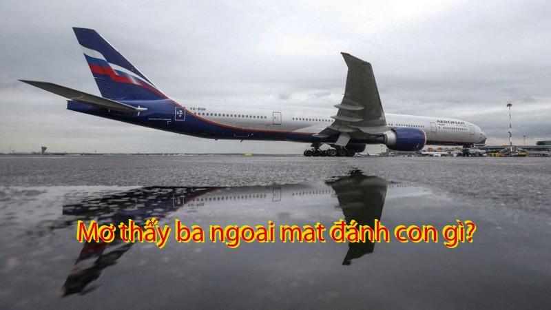 Mơ thấy ba ngoai mat đánh con gì?