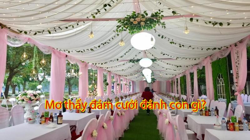 Mơ thấy đám cưới đánh con gì?
