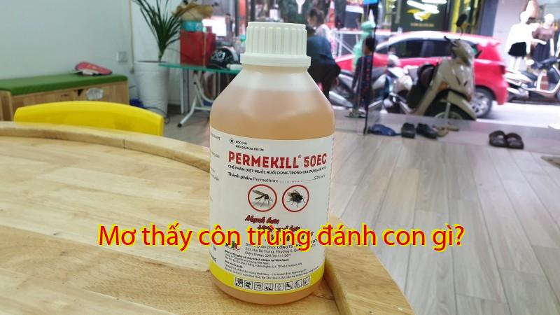 Mơ thấy côn trùng đánh con gì?