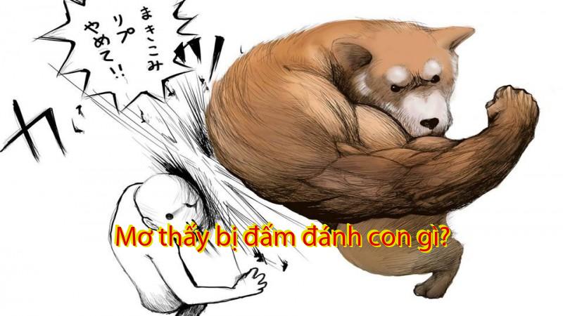 Mơ thấy bị đấm đánh con gì?