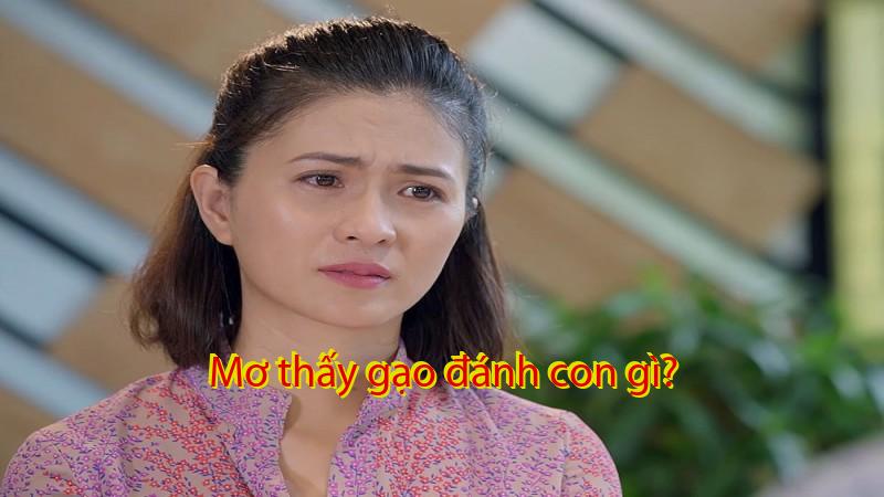 Mơ thấy gạo đánh con gì?