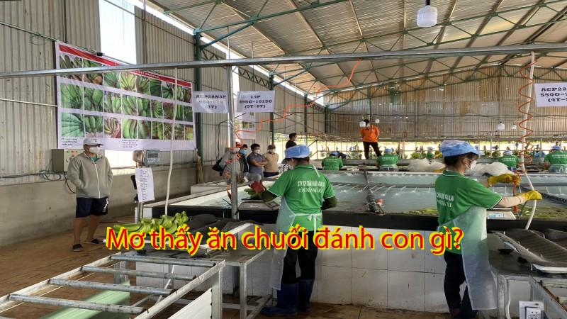 Mơ thấy ăn chuối đánh con gì?