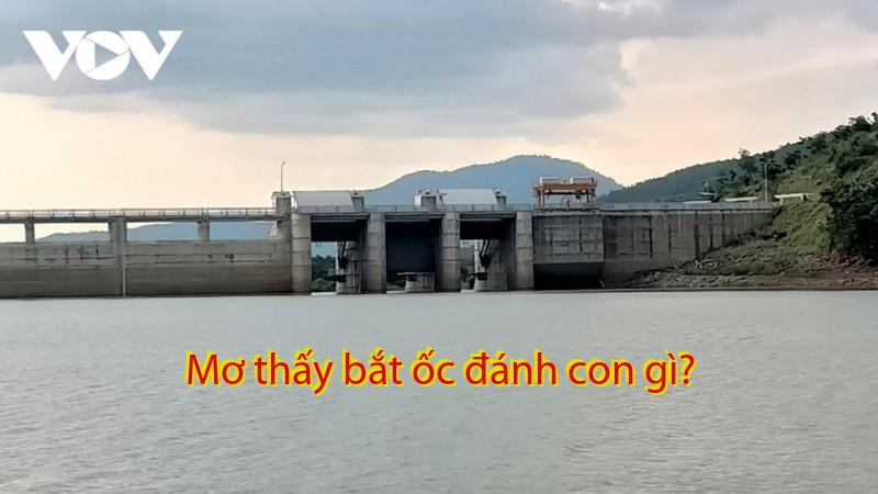 Mơ thấy bắt ốc đánh con gì?