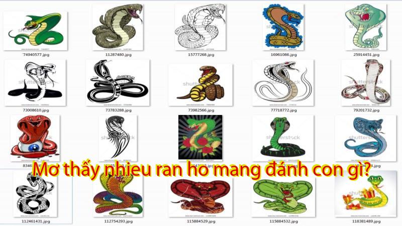 Mơ thấy nhieu ran ho mang đánh con gì?