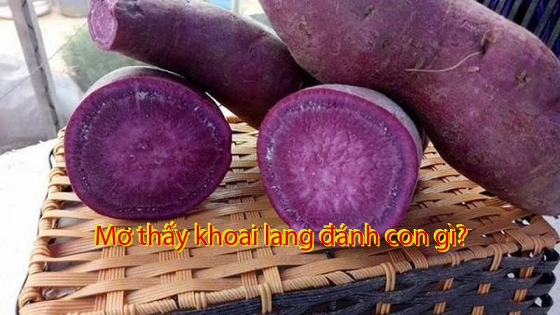 Mơ thấy khoai lang đánh con gì?