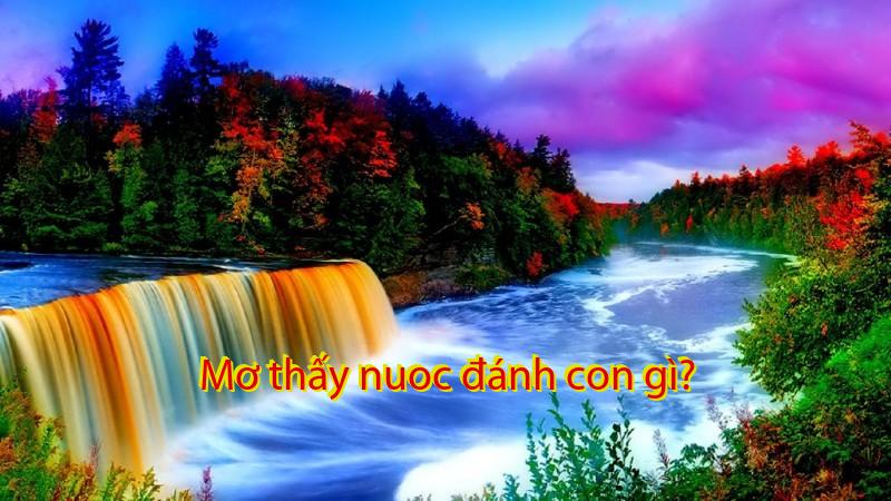 Mơ thấy nuoc đánh con gì?