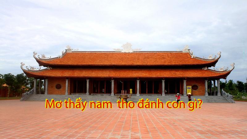 Mơ thấy nam  tho đánh con gì?