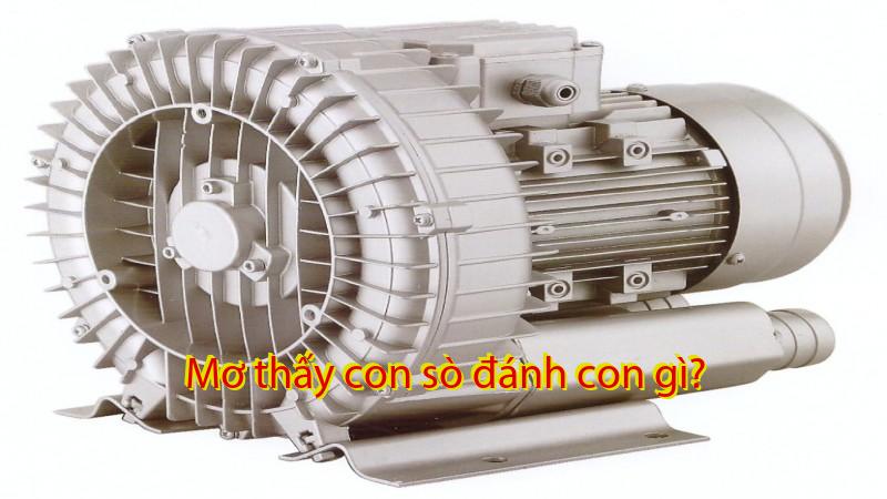 Mơ thấy con sò đánh con gì?